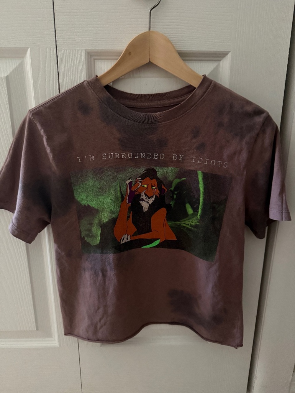 Lion King Scar "Surrounded By Idiots" Crop Tee | X-Small